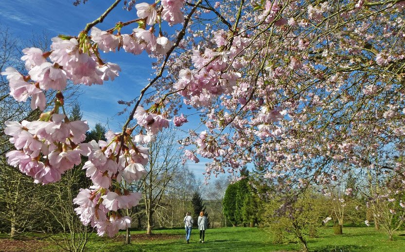 The Lovell Quinta Arboretum, United Kingdom
